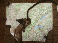 74_img0241.jpg