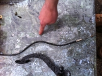 74_img0311.jpg