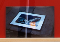 87_mg9911-crop-06.jpg